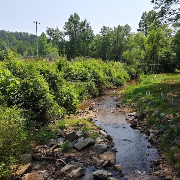 Stoneville Memorial Park